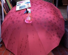 зонт1