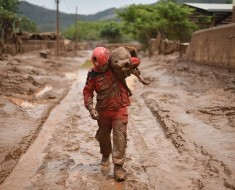 A fireman rescues in Paracatu de Baixo, Minas Gerais, Brazil on November 9, 2015 a dog that was trapped in the mud that swept through the Village of Bento Rodrigues on Thursday killing at least one person and leaving other 26 missing. The tragedy occurred Thursday when waste reservoirs at the partly Australian-owned Samarco iron ore mine burst open, unleashing a sea of muck that flattened the nearby village of Bento Rodrigues. AFP PHOTO / Douglas MAGNO        (Photo credit should read Douglas Magno/AFP/Getty Images)