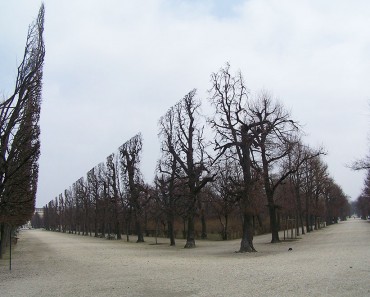 photos-that-do-not-look-real-2__880