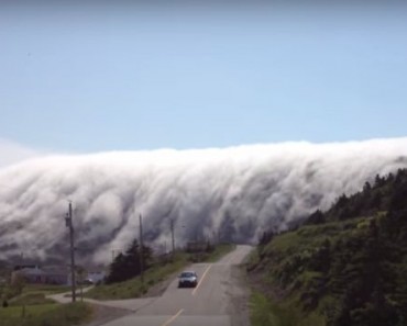 стихия разбушевалась