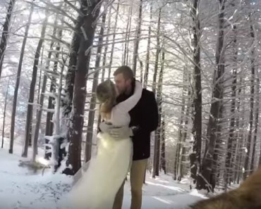 собака оператор