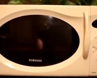 микроволновка